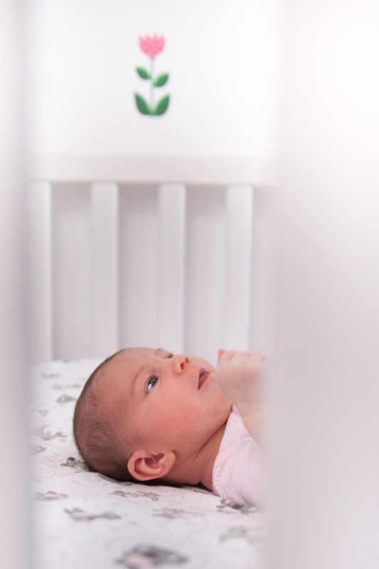 20170127-Noella-Newborn-Colour-2139